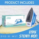 Winning Star Steam Iron 2000W-2300W